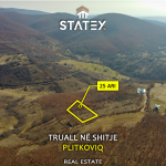Truall 25 Ari në Shitje - Plitkoviq