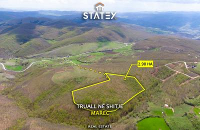 Truall 2.90 HA - në Shitje - Marec